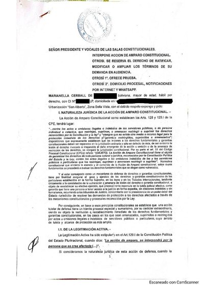Primera p&aacute;gina del documento: Acción de amparo constitucional