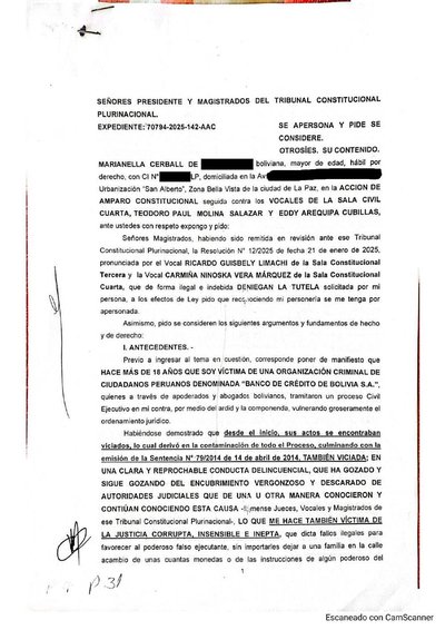 Primera p&aacute;gina del documento: Solicitud al Tribunal Constitucional Plurinacional