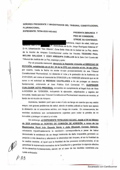 Primera p&aacute;gina del documento: Presenta denuncia ante el Tribunal Constitucional