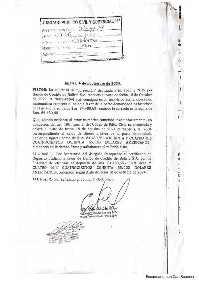 Primera p&aacute;gina del documento: Resolución 04/11/2024 — corrige error numérico