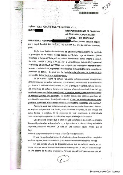 Primera p&aacute;gina del documento: Incidente de oposición al desapoderamiento